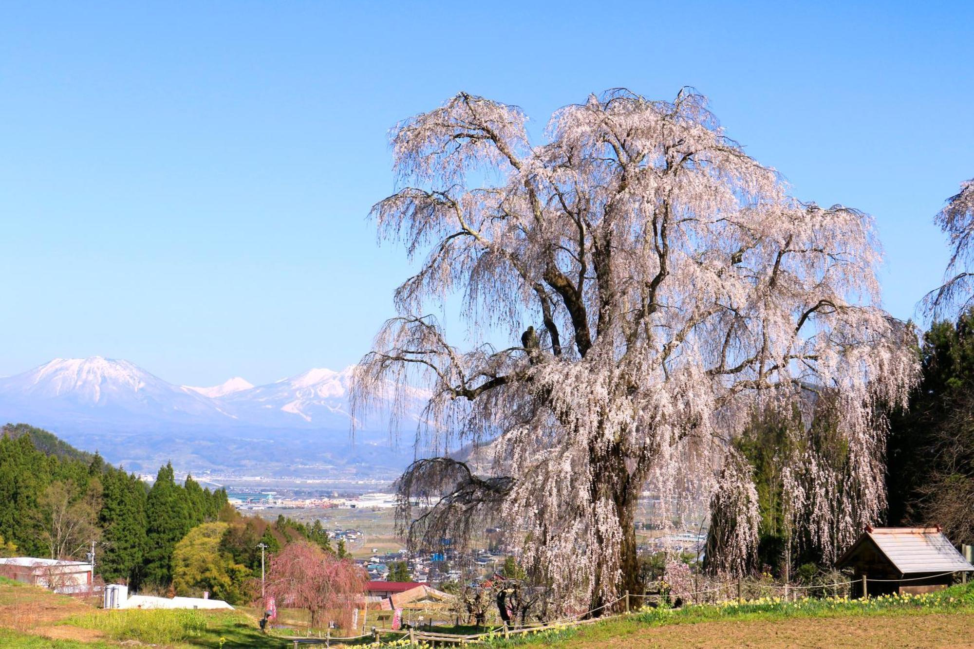 Fujiiso (Adults Only) Hotel Takayama  Exterior photo